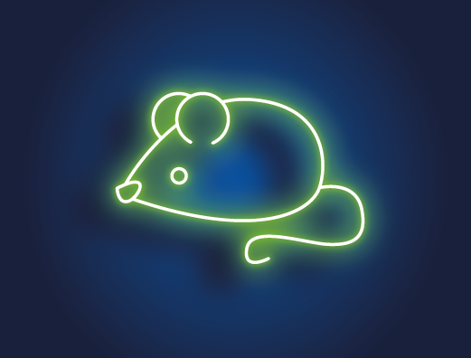 Aiimi