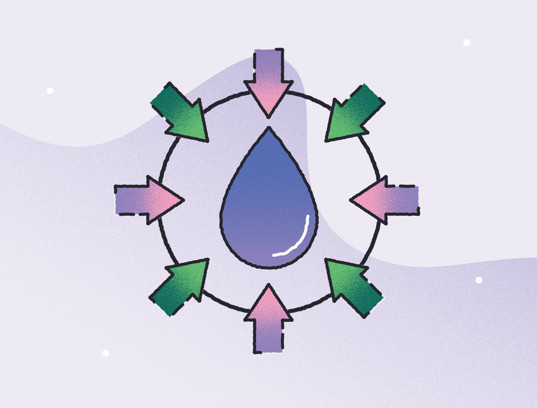 Xylem